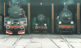 Parowozy Ol49-81, TKt48-143 i Ok1-359 w hali wachlarzowej podczas II...